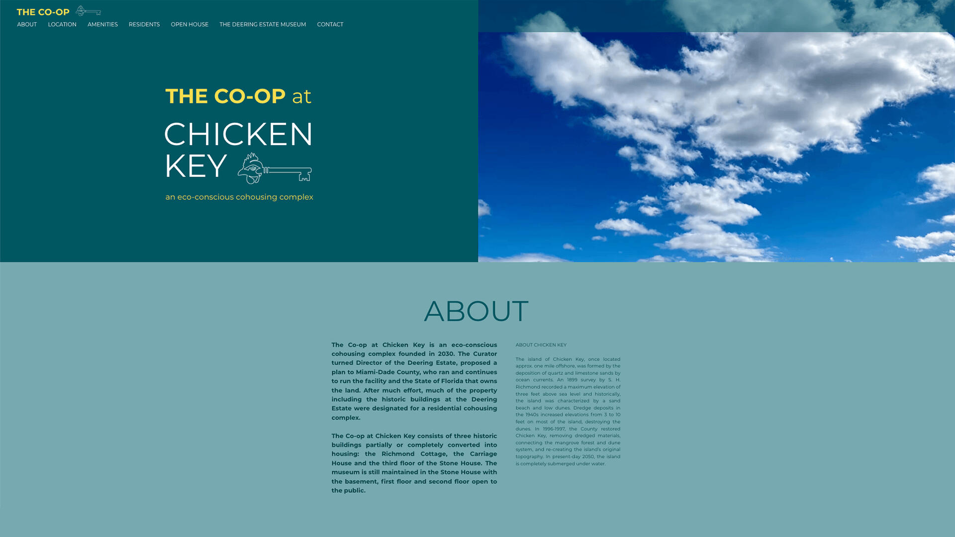 screenshot of thecoopatchickenkey.com